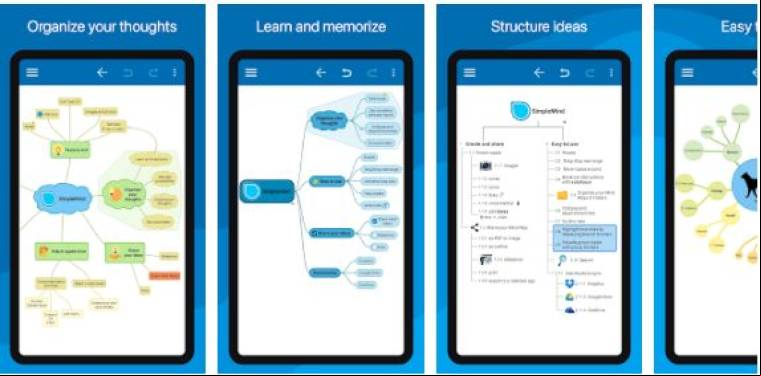 SimpleMind Pro Mod Apk