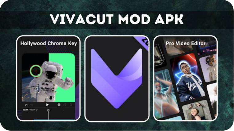 Vivacut Mod Apk 2